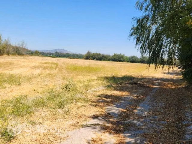 3.5 Ha Parcela Peralillo