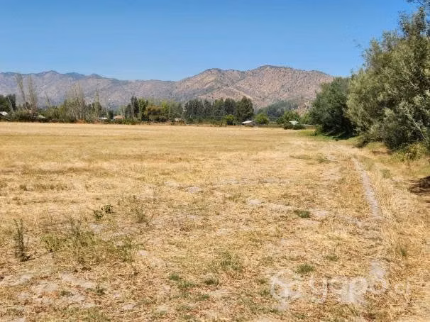 3.5 Ha Parcela Peralillo - Imagen 7
