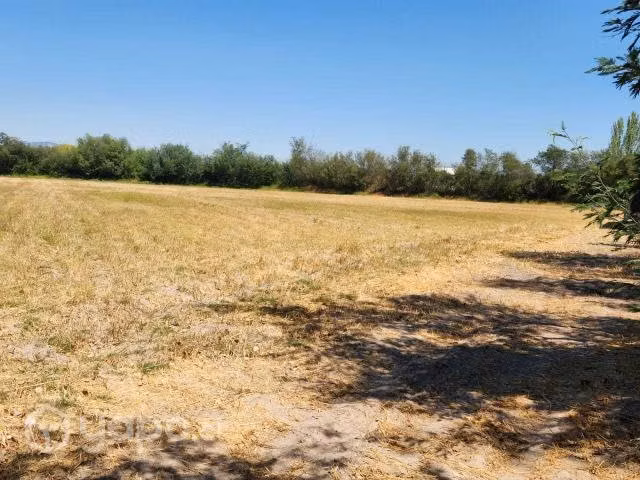 3.5 Ha Parcela Peralillo - Imagen 5