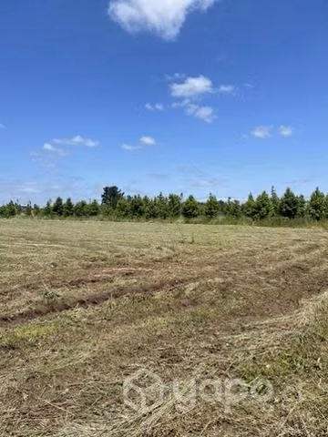 Parcela en Purisima con las rastras talca