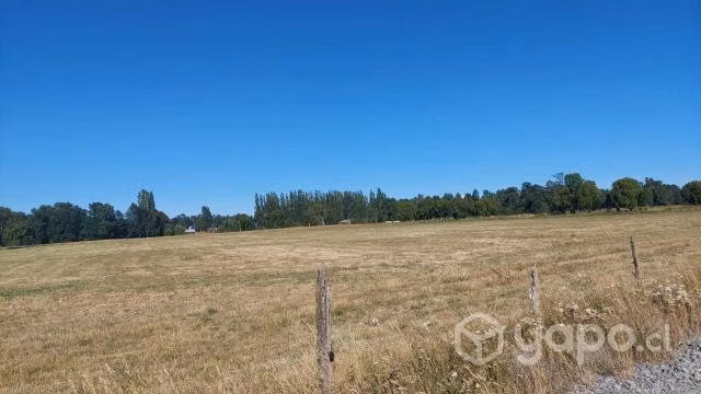 Vendo parcela 5.000m2 a 10 minutos de Puerto Octay