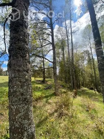 Terreno 5.000m2 parcela agricola residencial - Imagen 4