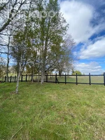 Terreno 5.000m2 parcela agricola residencial - Imagen 2