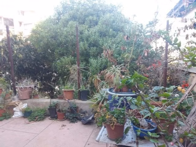 Casa grande, separada en 2 propiedades