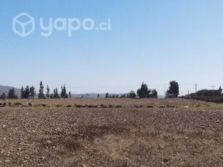 Parcela en La Serena, 5000m2 planos con agua y luz - Imagen 2