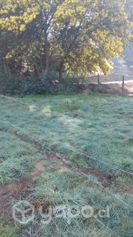 Venta de sitio en angol - Imagen 2