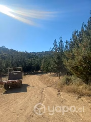 5029 mts cuadrados