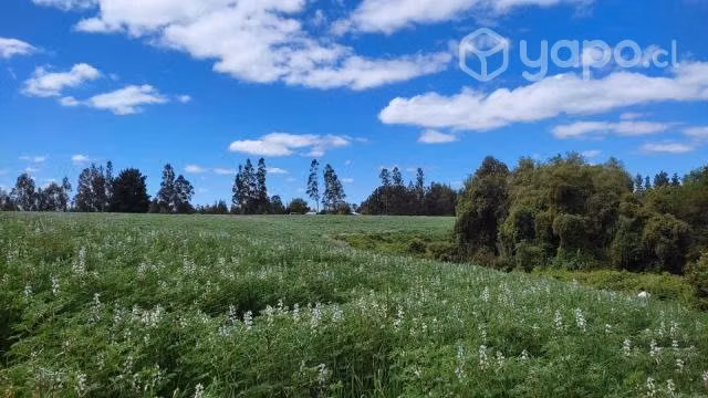 Vende Parcela De 5,29 Hectáreas, Con Casa De 95 M2