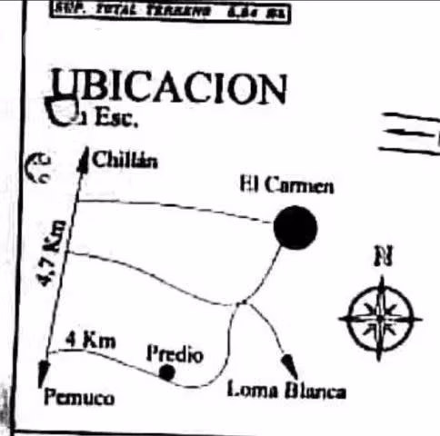 Predio el Boldo, Maipo Abajo, Comuna El Carmen - Imagen 2