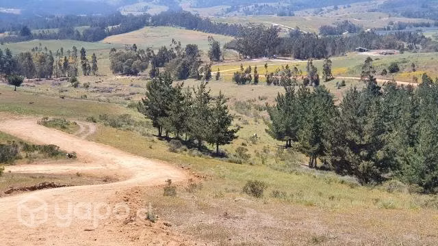 Parcela de 5000 m2 Condominio Hacienda de Bucalemu