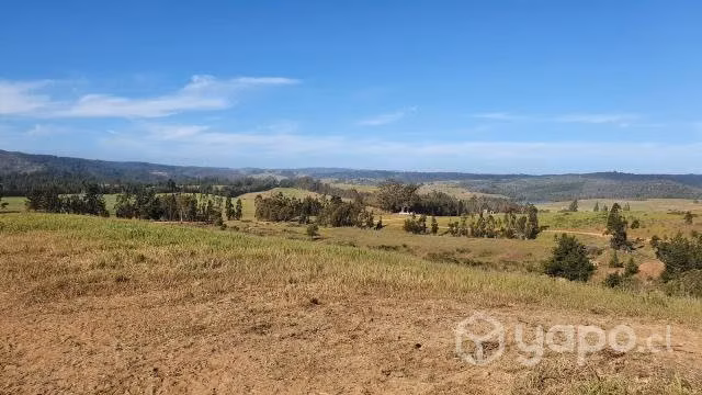 Parcela de 5000 m2 Condominio Hacienda de Bucalemu