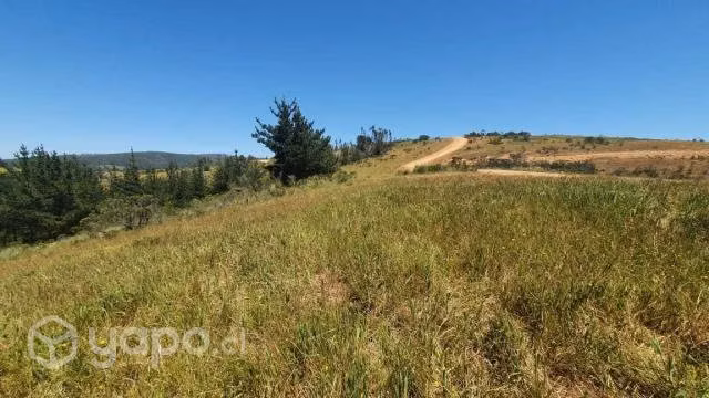 Parcela de 5000 m2 Condominio Hacienda de Bucalemu