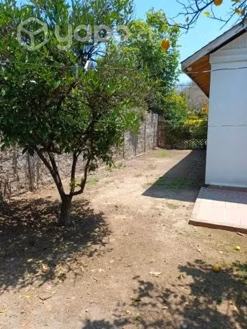 Casa Renovada En Macul (villa Santa Elena) - Imagen 9