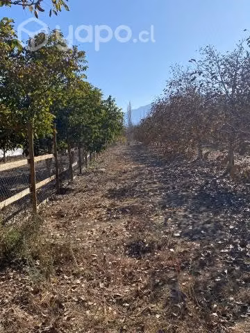 Parcela de agrado en Catemu. - Imagen 4