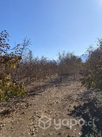 Parcela de agrado en Catemu. - Imagen 5