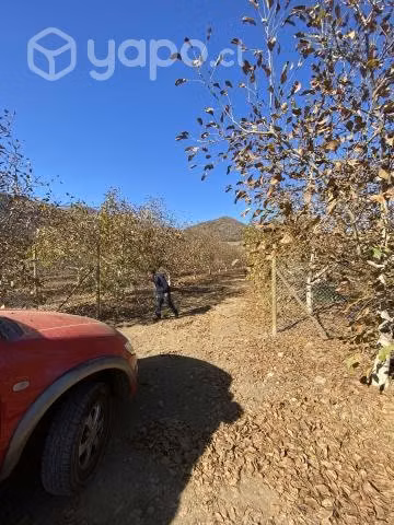 Parcela de agrado en Catemu.