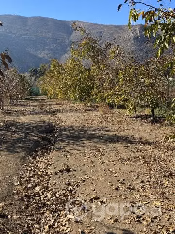 Parcela de agrado en Catemu. - Imagen 2