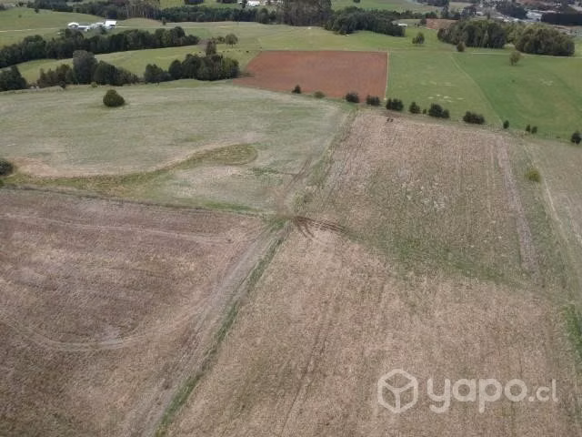 Se Vende Campo agricola
