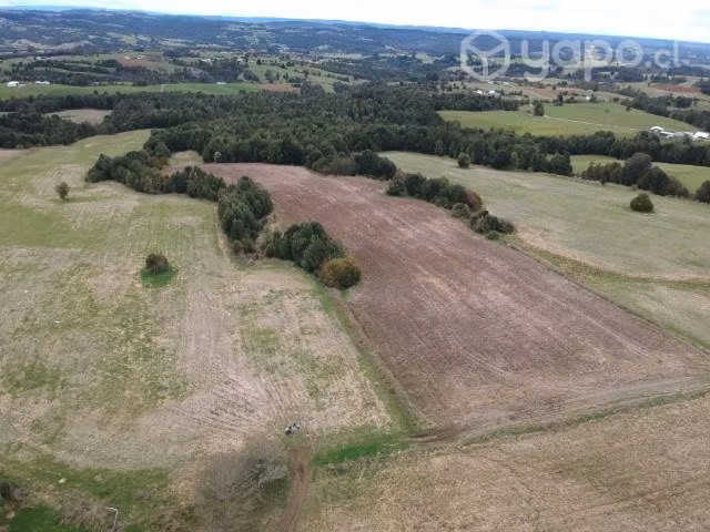 Se Vende Campo agricola