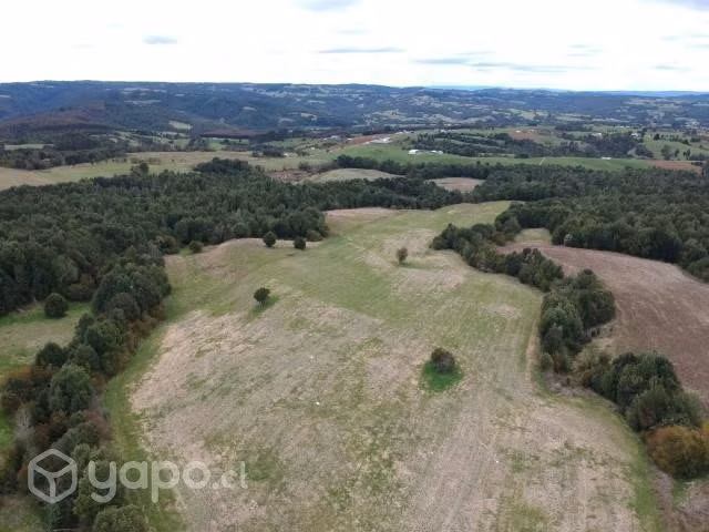 Se Vende Campo agricola