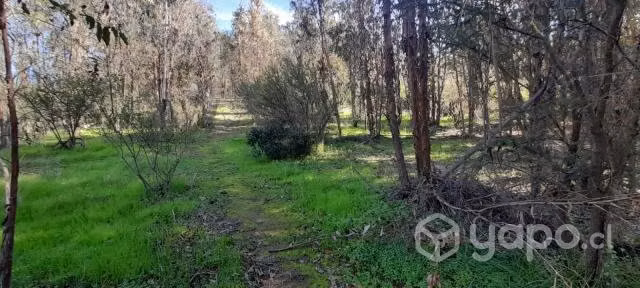 Parcela en Quilpue