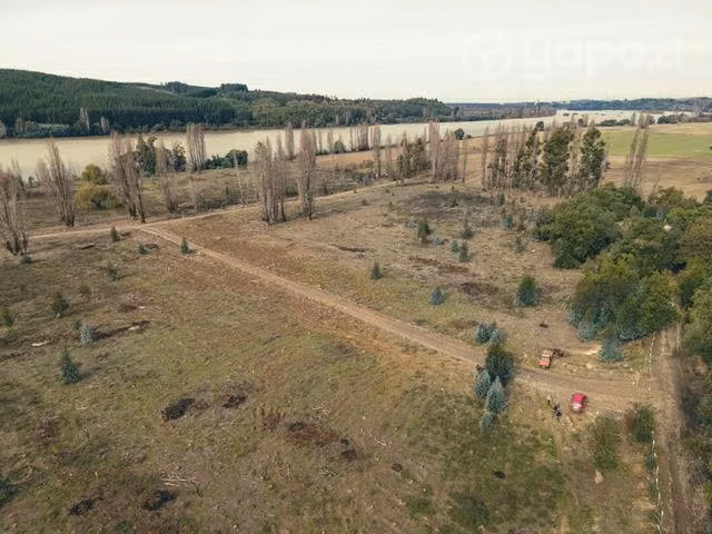 Lote 5000 m2 - Imagen 4