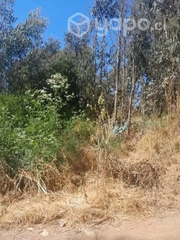 Vendo sitio de 600 mts2 - Imagen 4