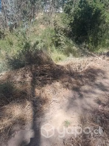 Vendo sitio de 600 mts2 - Imagen 2