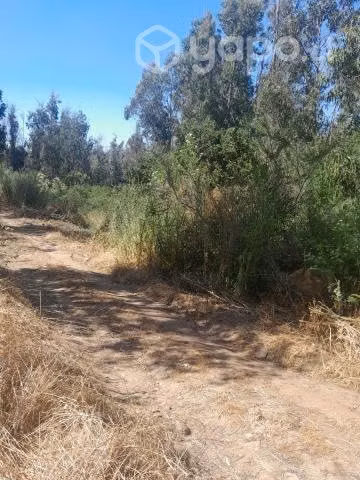 Vendo sitio de 600 mts2 - Imagen 3
