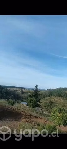 Terreno en Pichilemu
