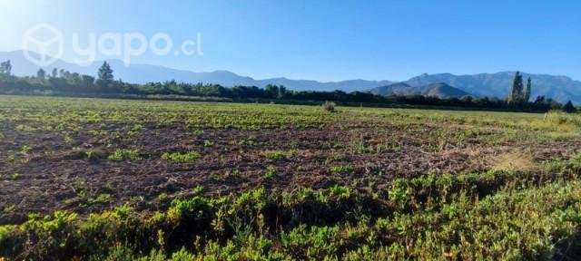 Parcelas rancagua la moranina - Imagen 3