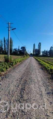 Parcelas rancagua la moranina - Imagen 2