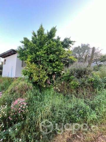 Terreno En Peñablanca - Imagen 15