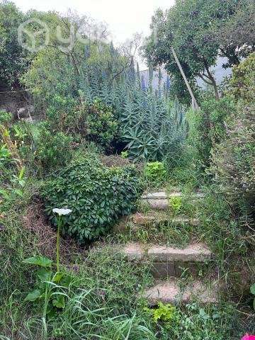 Terreno En Peñablanca - Imagen 12
