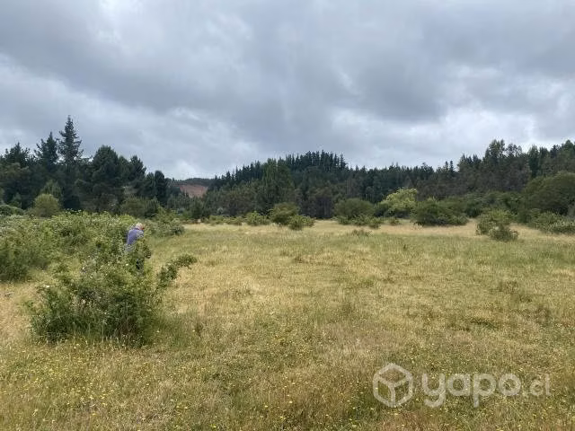 Se Venden Terrenos en santa Juana Tanahullin - Imagen 2