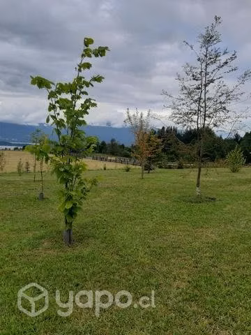 Maravillosa parcela con vista al lago y volcán