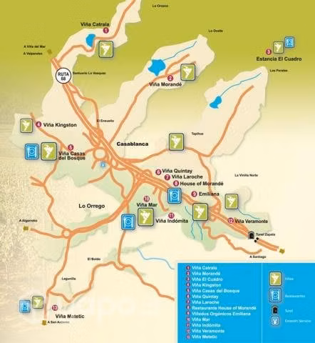 Parcela 5000mt2 en Casablanca, Sector Mundo Nuevo