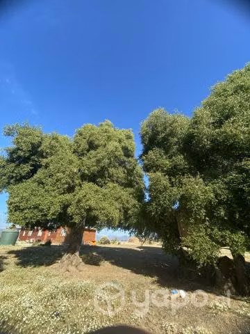 Vendo Hermosa Casa y Terreno