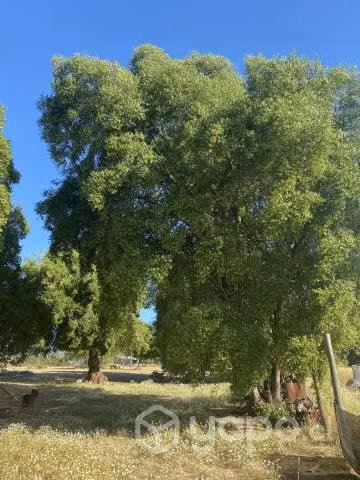 Vendo Hermosa Casa y Terreno
