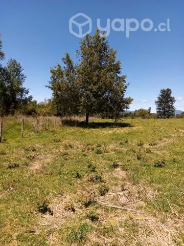 Parcela en Licanray
