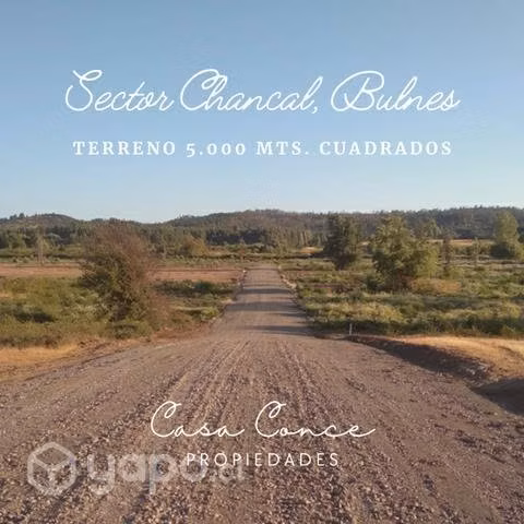 Terreno Sector Chancal, Bulnes