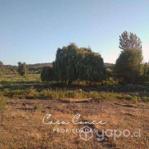 Terreno Sector Chancal, Bulnes - Imagen 2