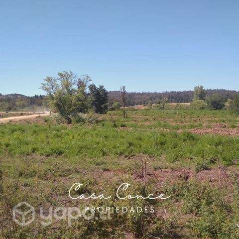 Terreno Sector Chancal, Bulnes - Imagen 4