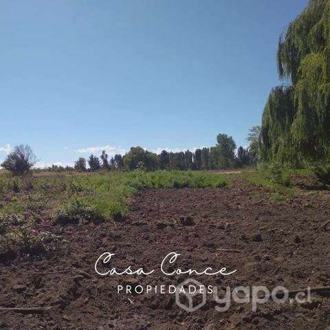 Terreno Sector Chancal, Bulnes - Imagen 3