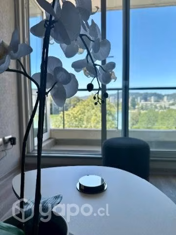 Arriendo diario Concepción panorámico laguna