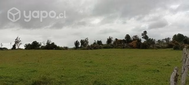 Vendo terreno