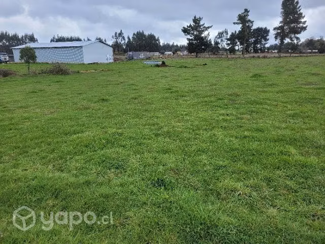 Se vende terreno 7000 con galpon 13×24 - Imagen 16