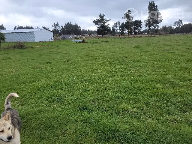 Se vende terreno 7000 con galpon 13×24 - Imagen 19