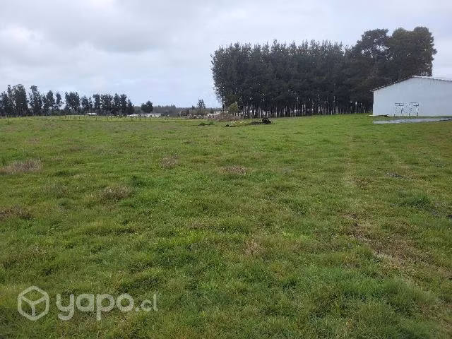 Se vende terreno 7000 con galpon 13×24 - Imagen 12