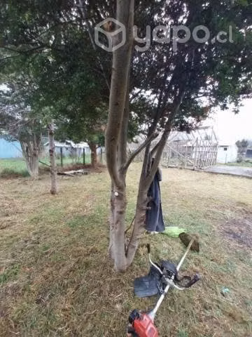 Terreno - Imagen 5